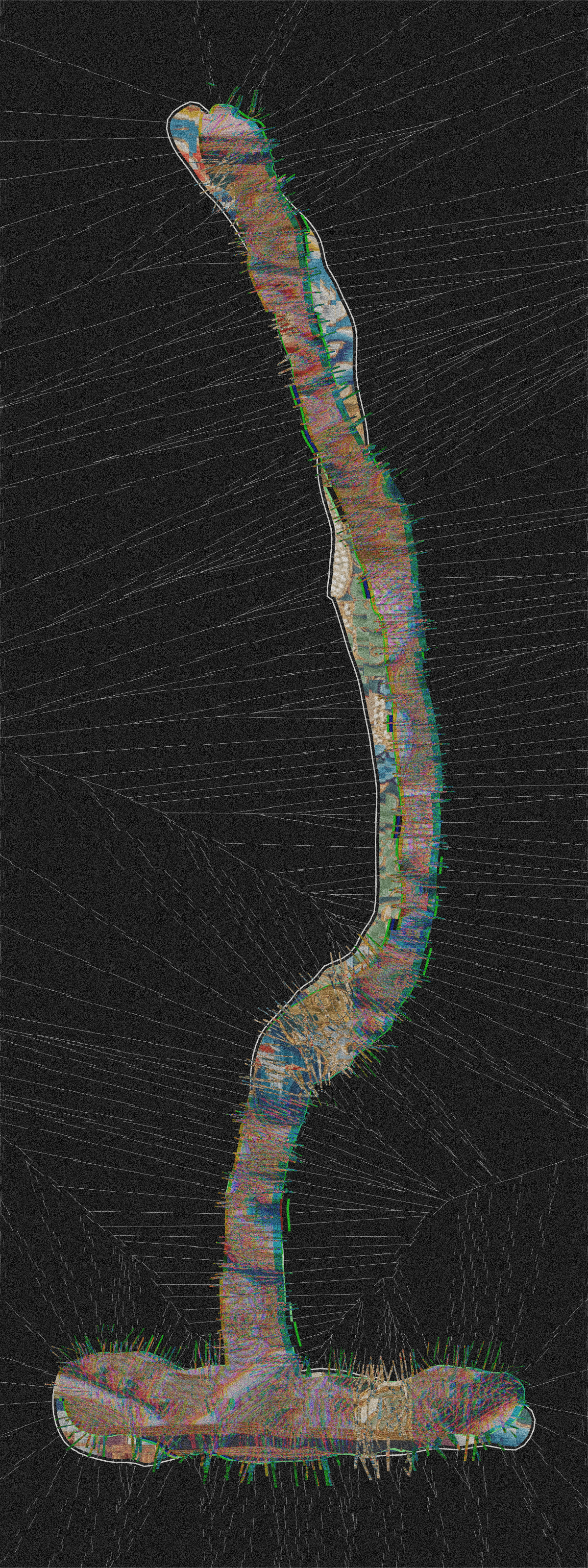 Images of the final outputs of Xie's algorithm